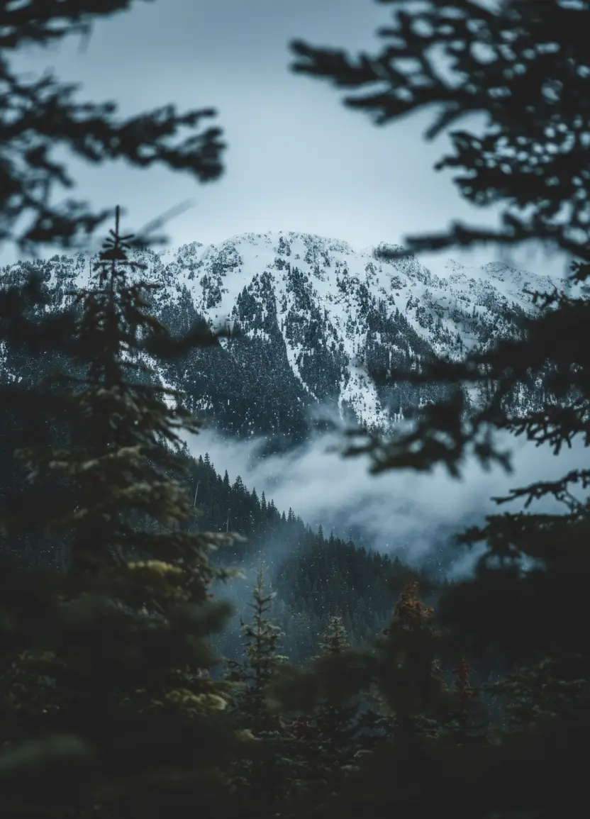 Misty forest with snow-covered mountains, perfect nature wallpaper for desktop and nature phone wallpaper