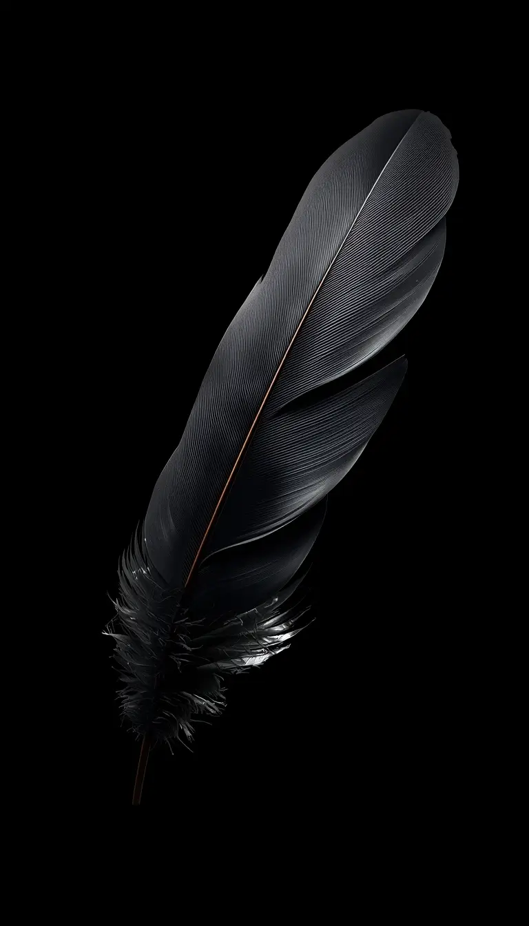 Detailed black feather on pure dark background, amoled-black-wallpaper-4k ultra HD minimal nature wallpaper