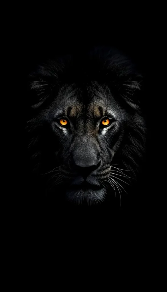 Black lion face with glowing orange eyes black amoled wallpaper with deep dark background designed for OLED and AMOLED displays.